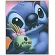Lilo & Stitch Smile Series Stitch Canvas Giclee Print